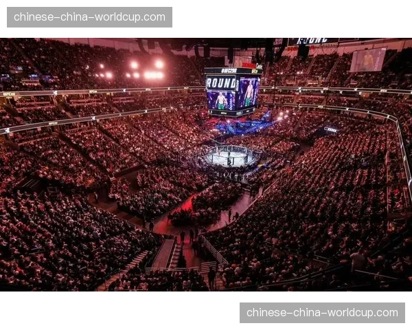 综合格斗运动在奥运会：2028年洛杉矶的表演赛筹备进展